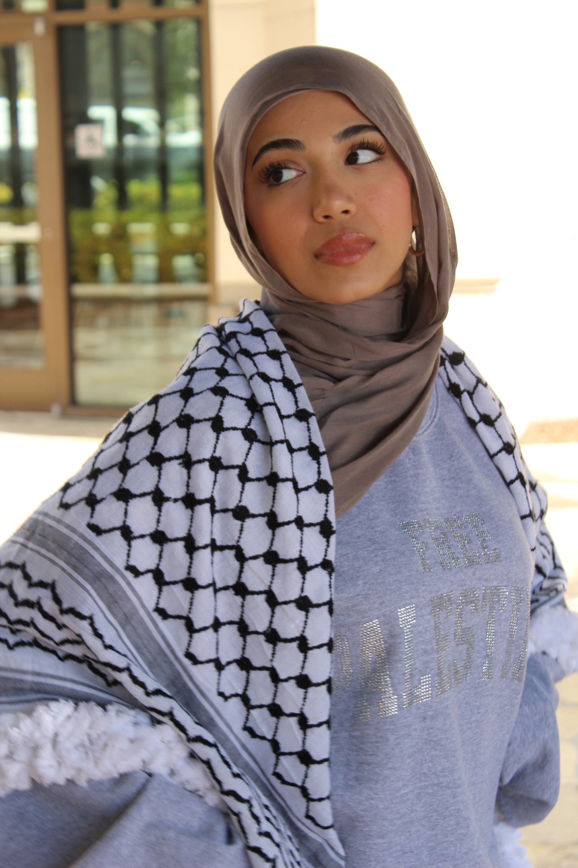 Light Gray Rhinestone Palestine Sweater