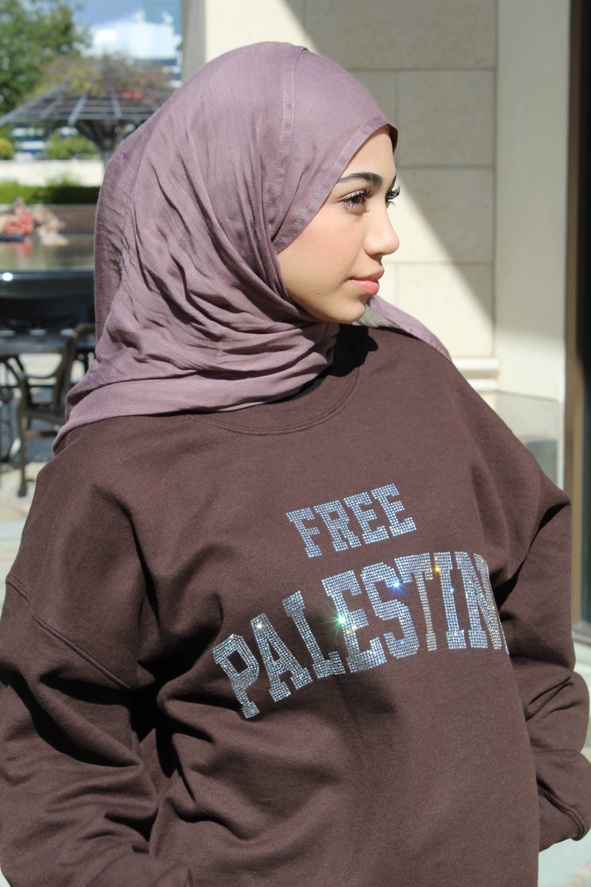 Brown Rhinestone Palestine Sweater