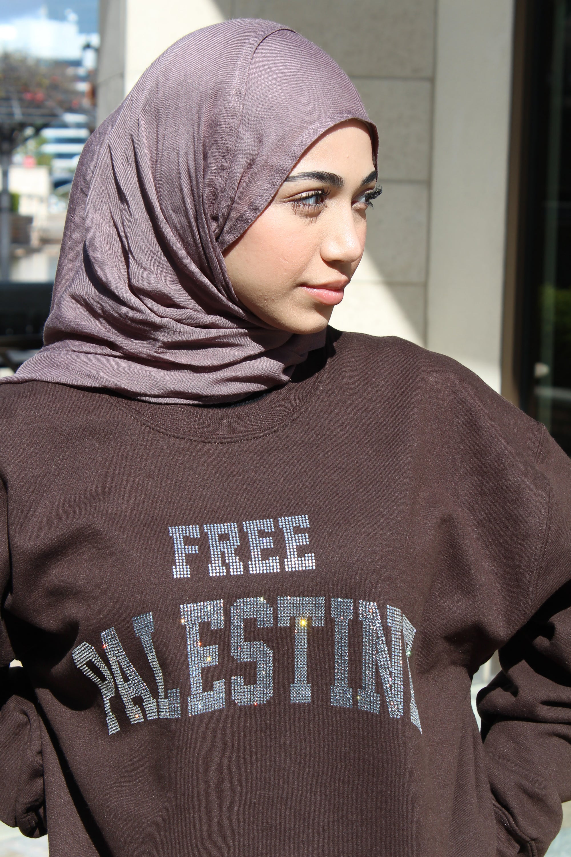 Brown Rhinestone Palestine Sweater