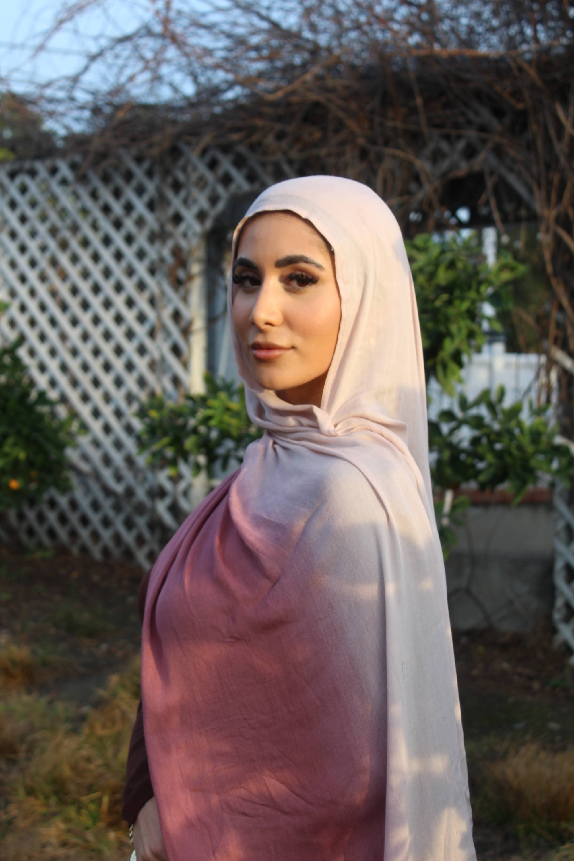 Blush Rose Ombré Scarf