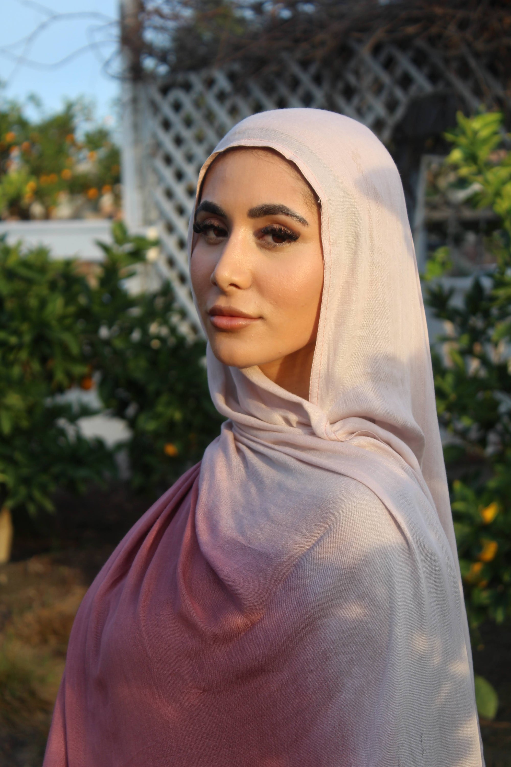 Blush Rose Ombré Scarf