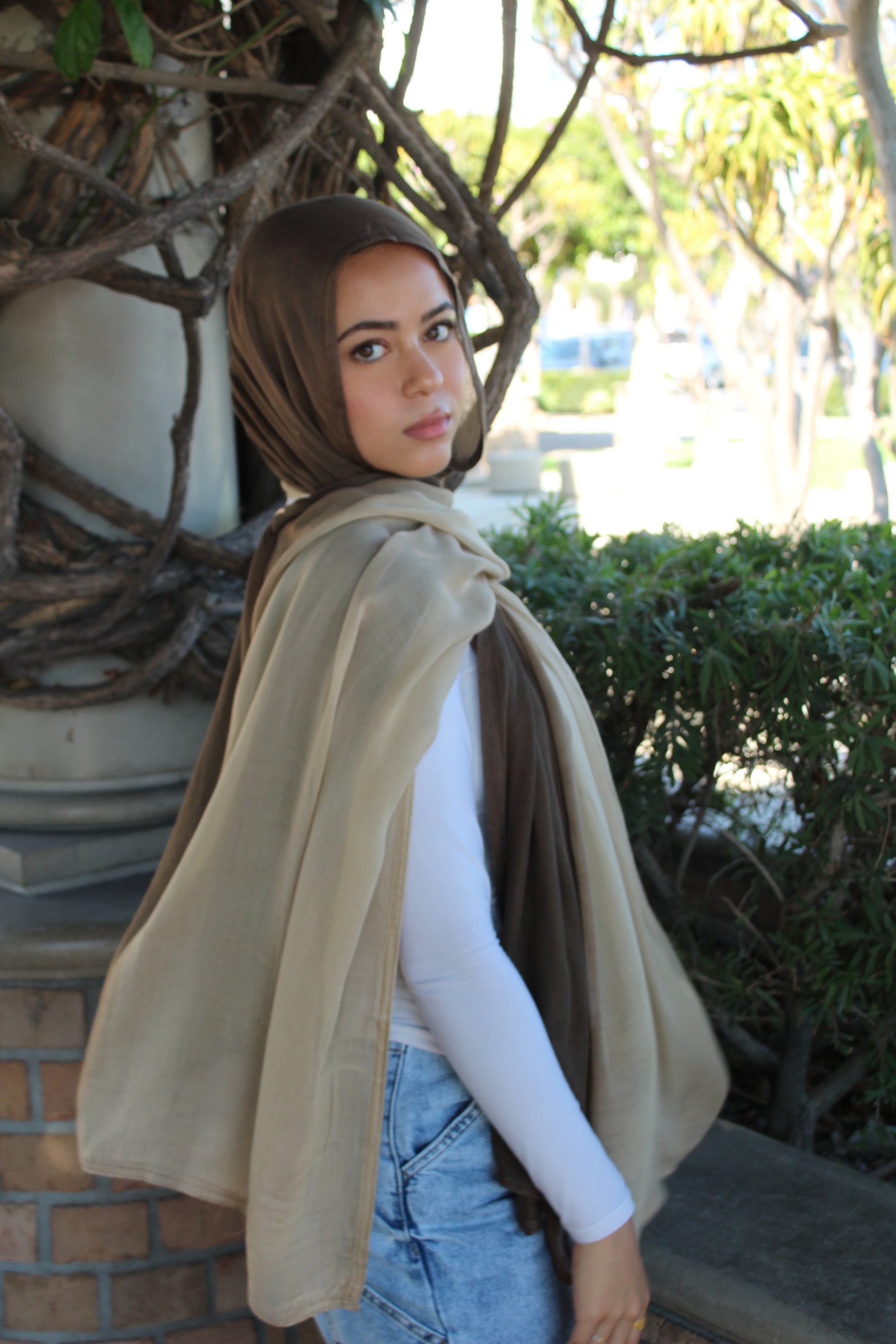 The Ombré Edit